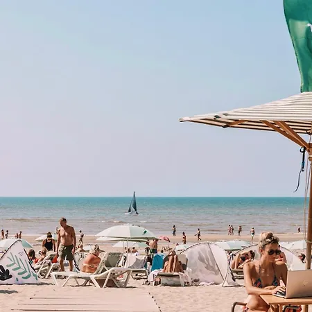 Skua Escape * Zandvoort