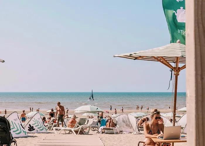 Skua Escape * 赞德沃特